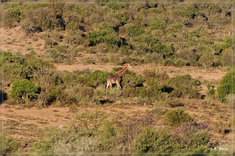 suedafrika_2019_0050.jpg