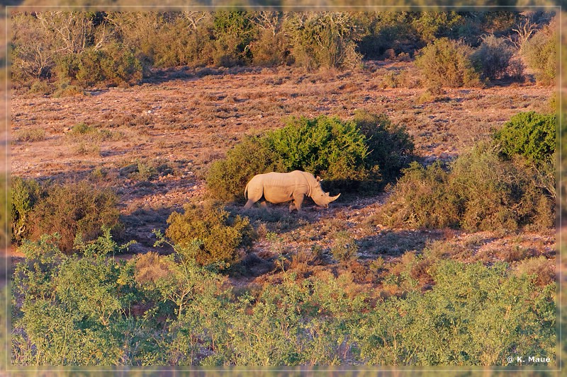 suedafrika_2019_0051.jpg