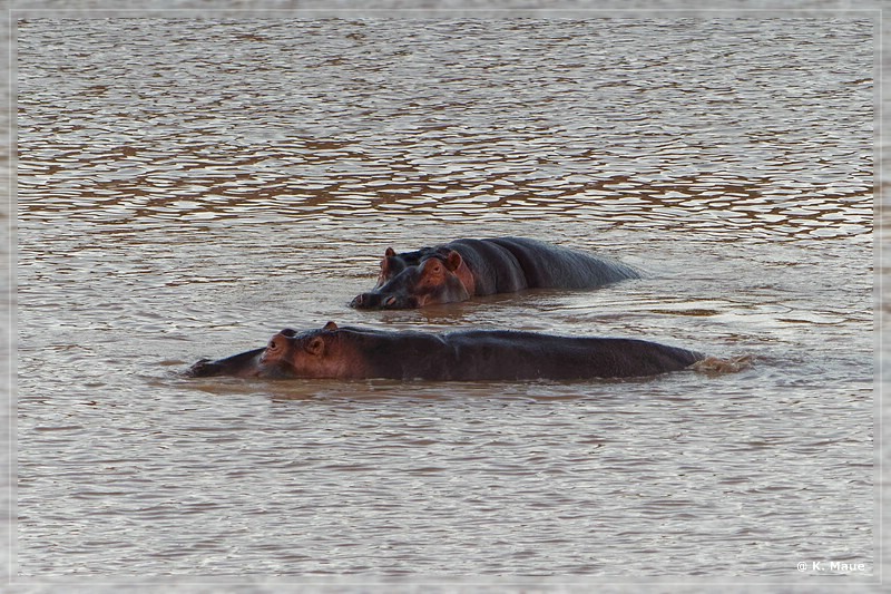 suedafrika_2019_0052.jpg