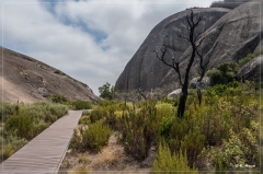 suedafrika_2019_0022