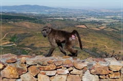 suedafrika_2019_0035