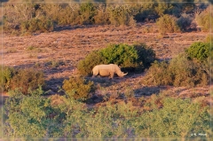 suedafrika_2019_0051