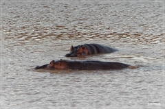 suedafrika_2019_0052