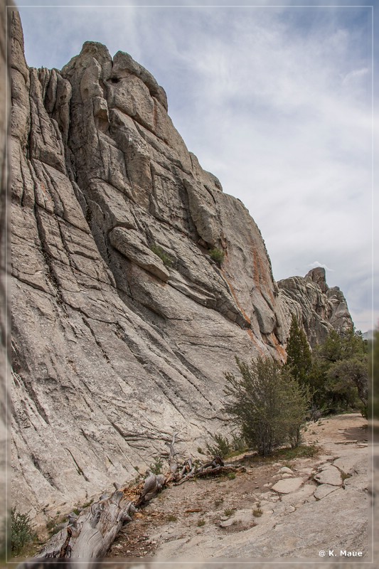 usa2014_0057.jpg