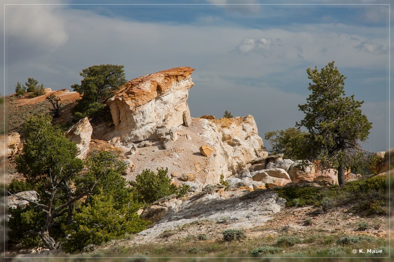 usa2014_0598.jpg