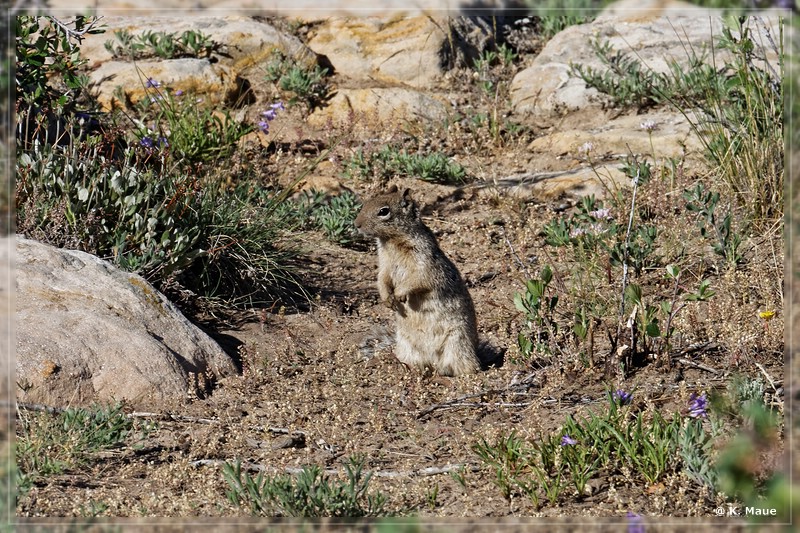 usa2014_0690.jpg