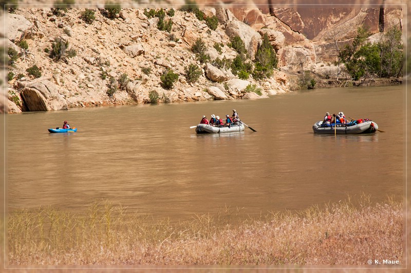 usa2014_0707.jpg