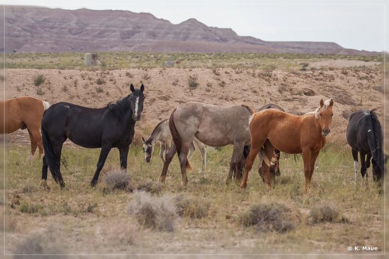 usa2014_0753.jpg