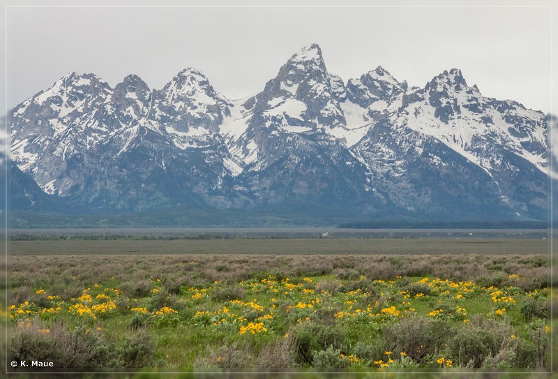 usa2014_0157.jpg