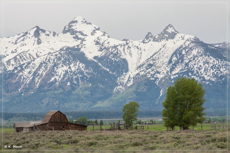 usa2014_0158.jpg