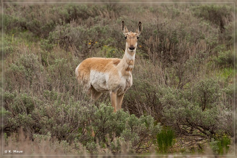 usa2014_0159.jpg