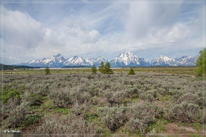 usa2014_0196.jpg