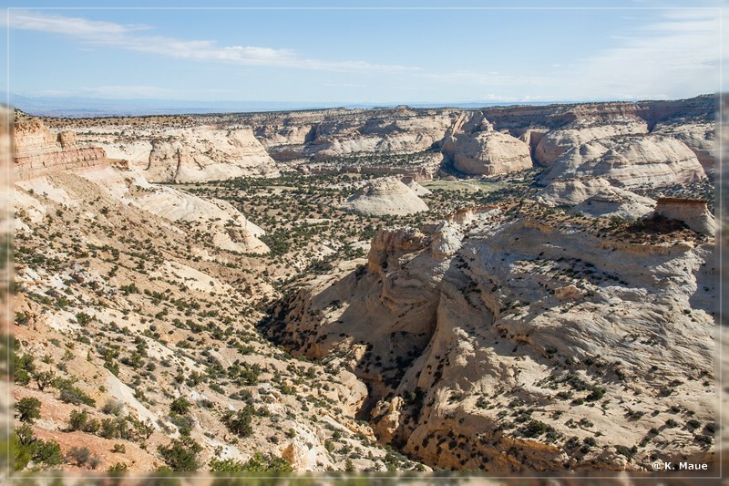 usa2014_0952.jpg