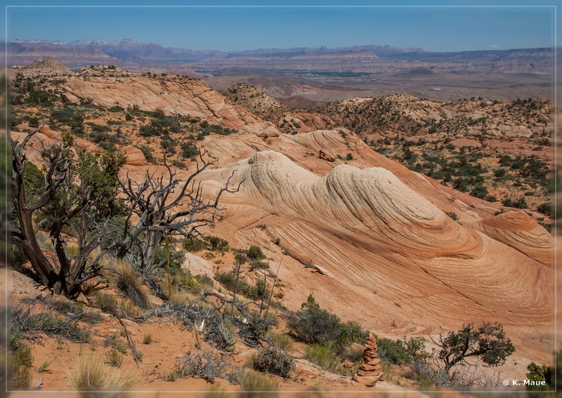 usa2014_0979.jpg