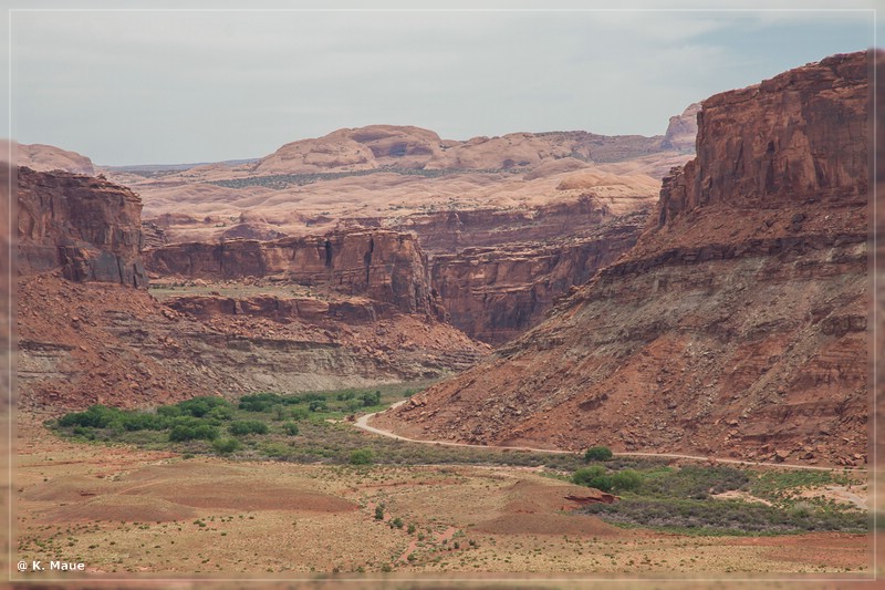 usa2014_0862.jpg