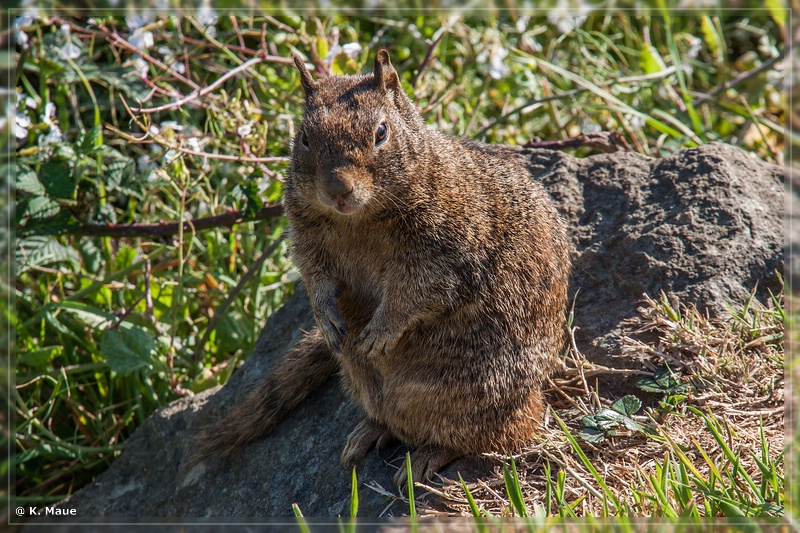 USA2015_0554.jpg