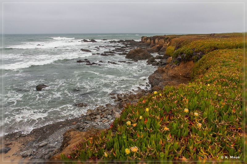 USA2015_0975.jpg