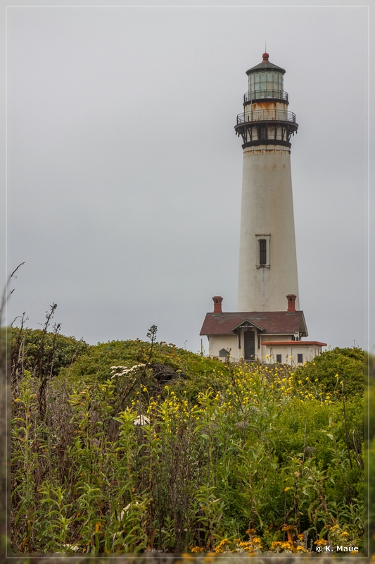 USA2015_0987.jpg