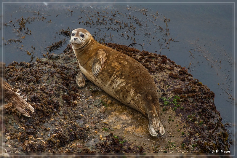 USA2015_0995.jpg