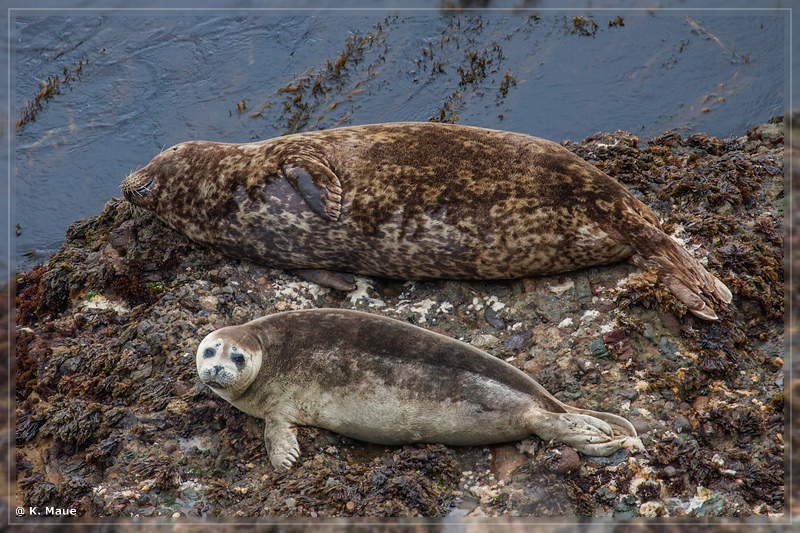 USA2015_0996.jpg