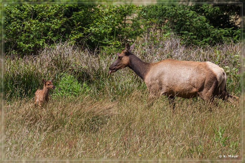 USA2015_0583.jpg