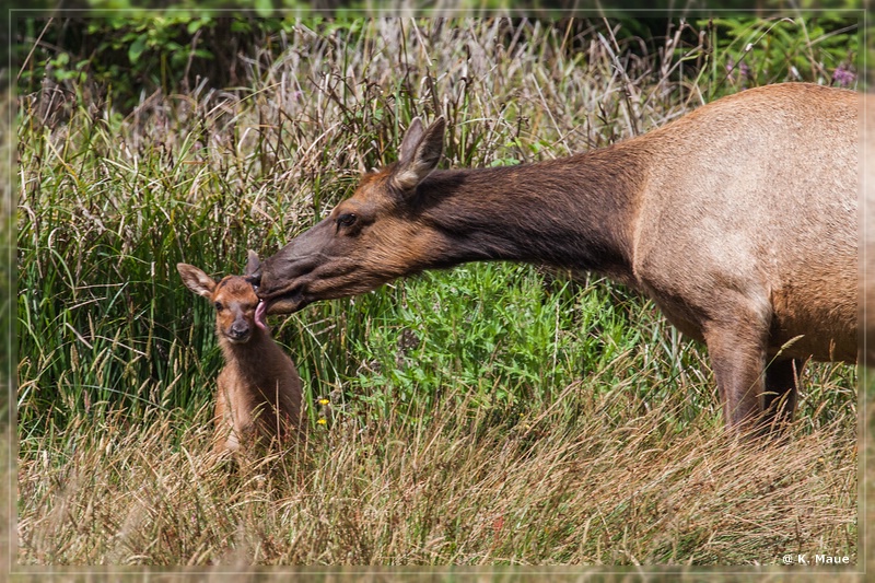 USA2015_0584.jpg