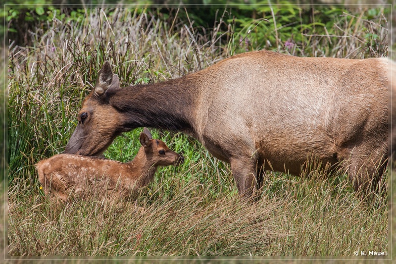 USA2015_0585.jpg