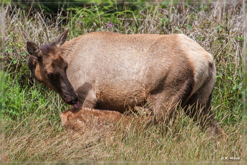 USA2015_0586.jpg