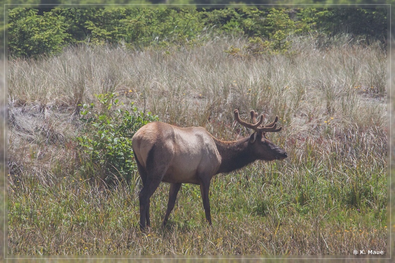 USA2015_0592.jpg