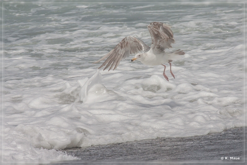 USA2015_0601.jpg