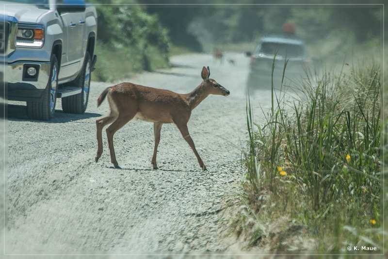 USA2015_0607.jpg