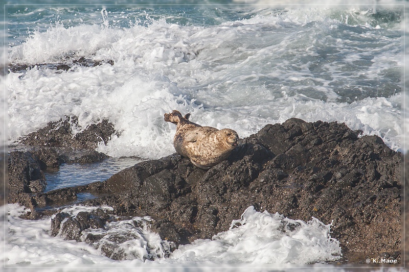 USA2015_0700.jpg