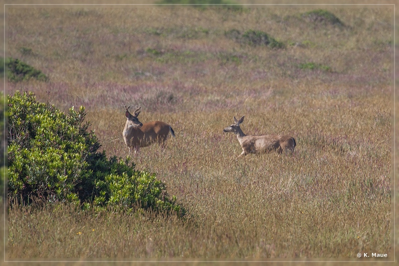 USA2015_0703.jpg