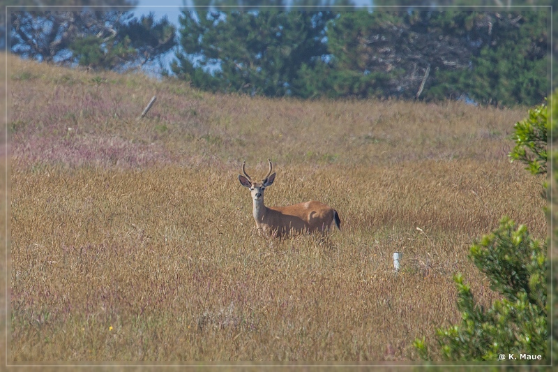 USA2015_0704.jpg