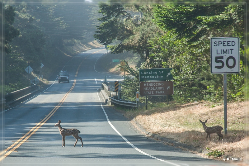 USA2015_0705.jpg