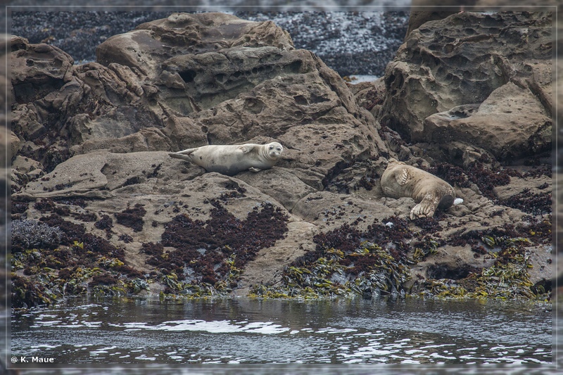 USA2015_0749.jpg