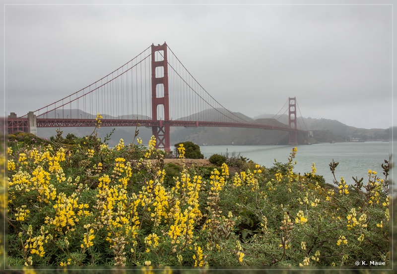 USA2015_0769.jpg