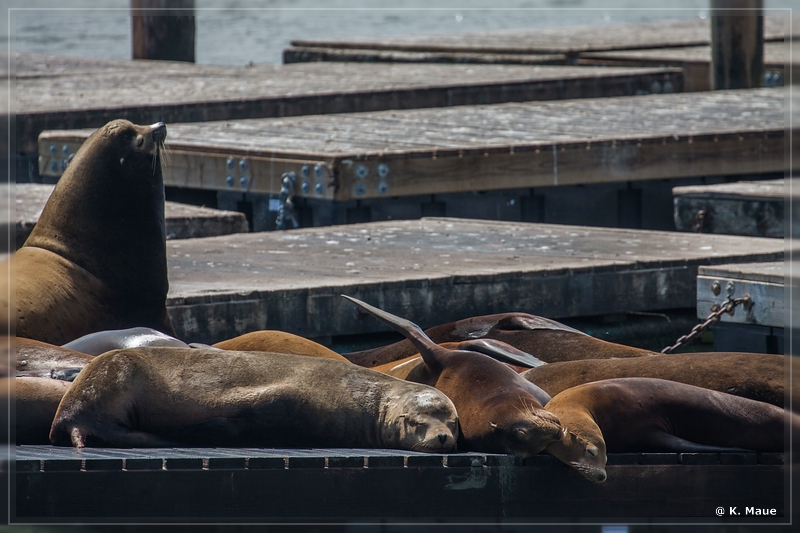 USA2015_0856.jpg