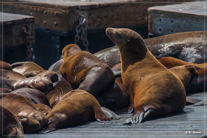 USA2015_0859.jpg