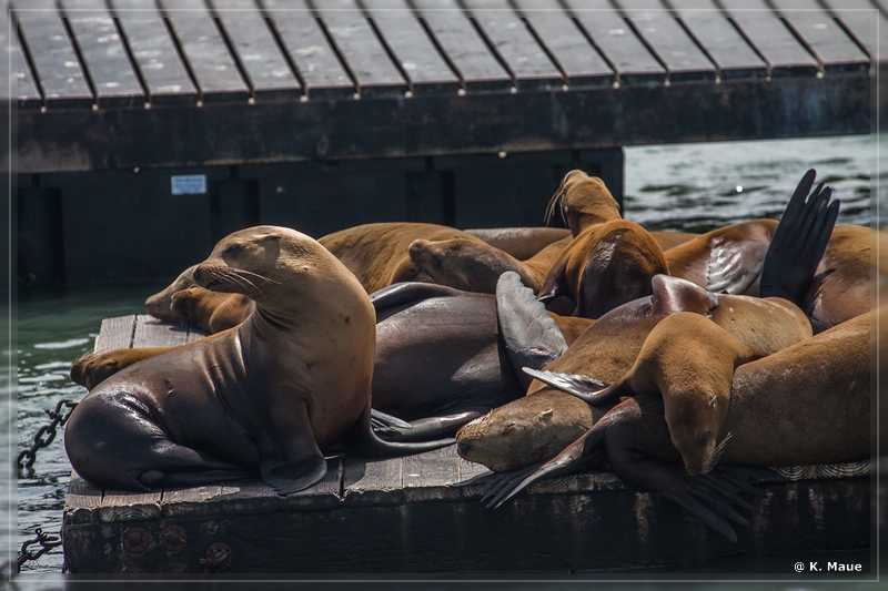 USA2015_0861.jpg