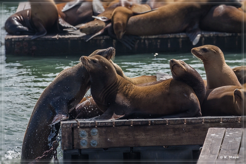 USA2015_0862.jpg