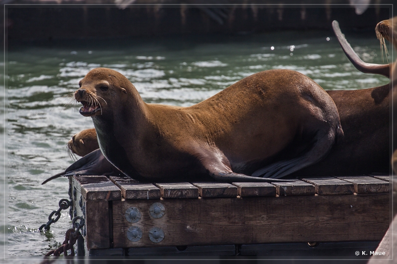 USA2015_0864.jpg