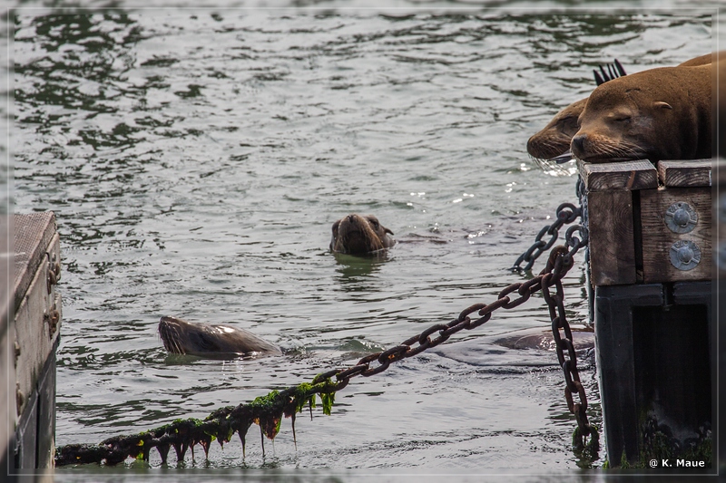 USA2015_0867.jpg