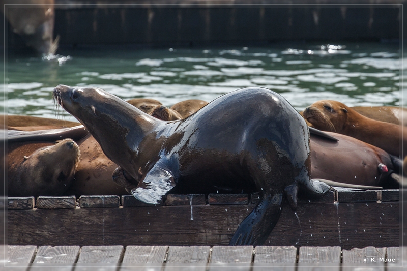 USA2015_0868.jpg