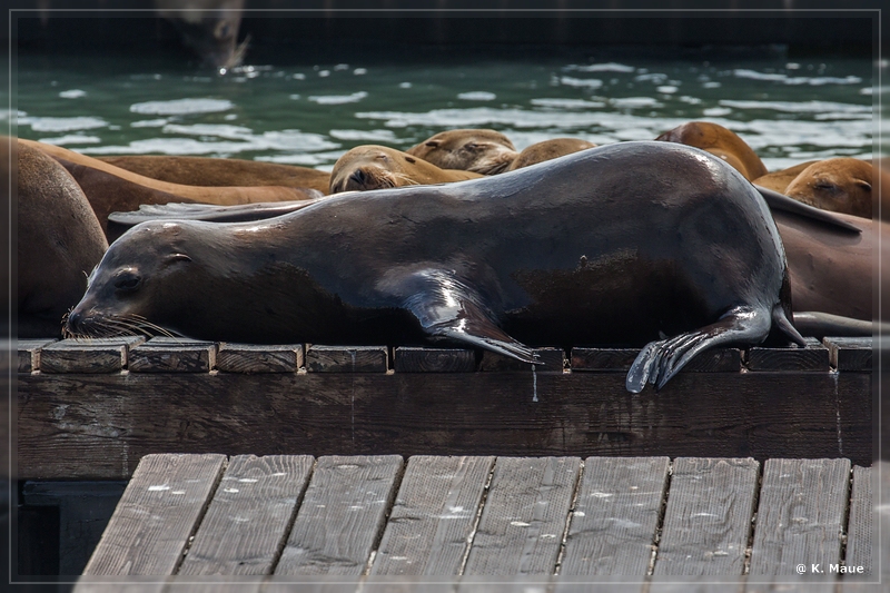 USA2015_0869.jpg