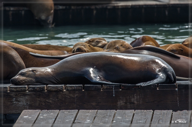 USA2015_0870.jpg