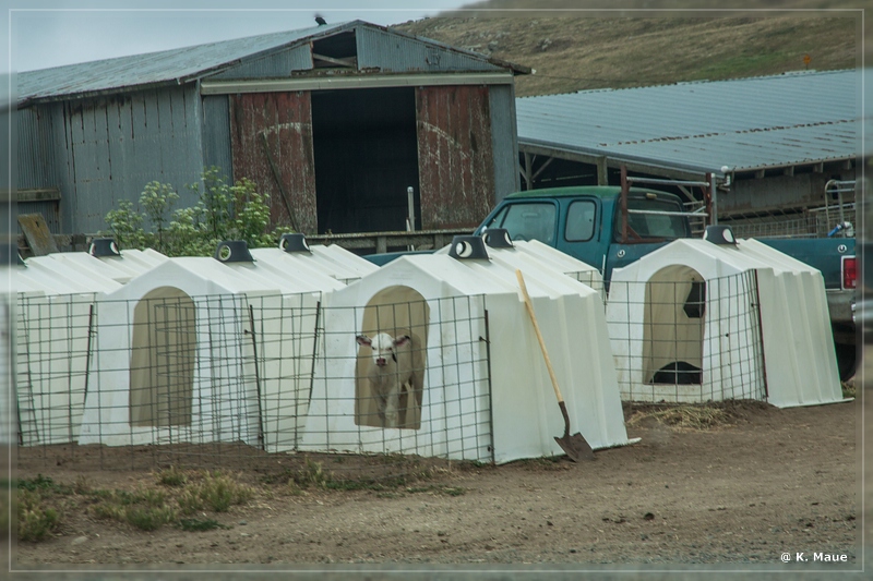 USA2015_0882.jpg