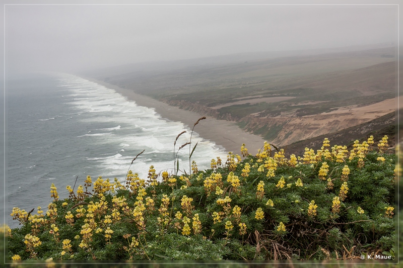 USA2015_0885.jpg