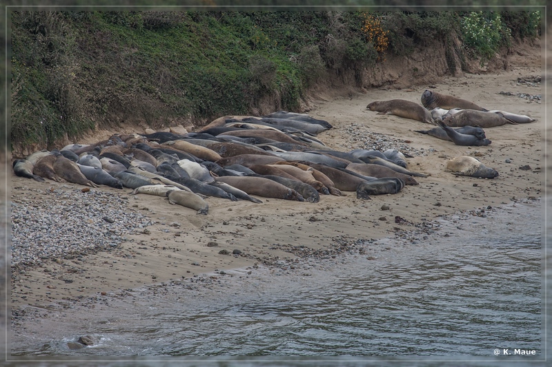 USA2015_0891.jpg