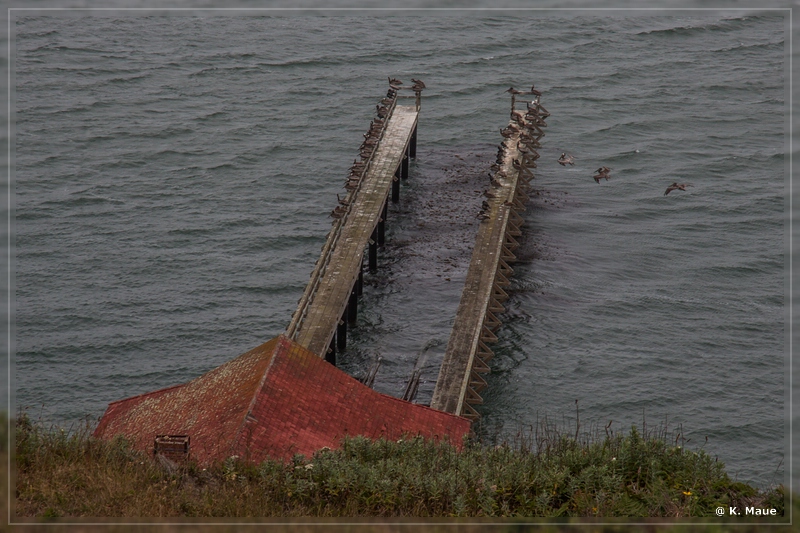 USA2015_0897.jpg